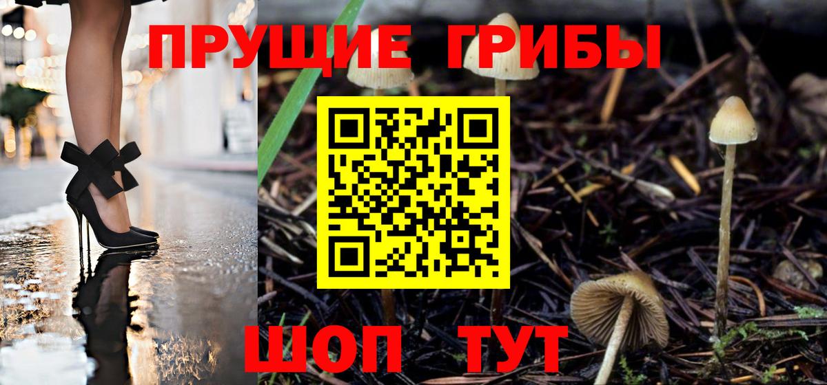 Псилоцибиновые грибы Magic Shrooms  Вход с VPN  Нижний Тагил 