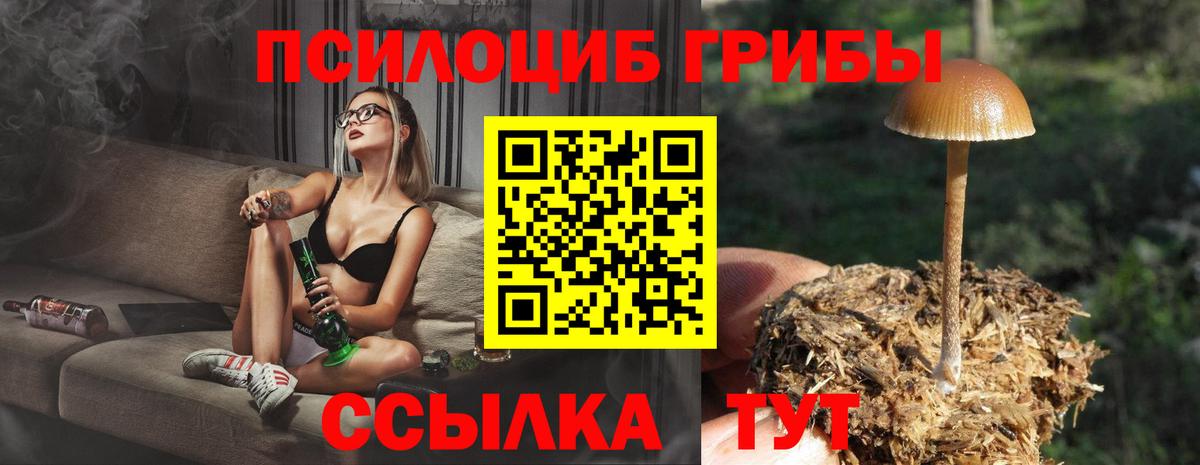 Галлюциногенные грибы Cubensis Нижний Тагил